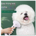 2-in-1 Pet Grooming Brush with Heated Blow Dryer